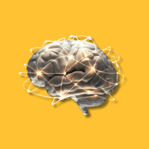 predictap expense intelligence